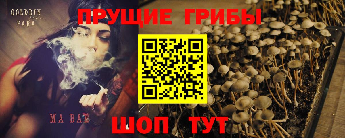 Псилоцибиновые грибы Psilocybine cubensis  Вход с VPN  Наро-Фоминск 